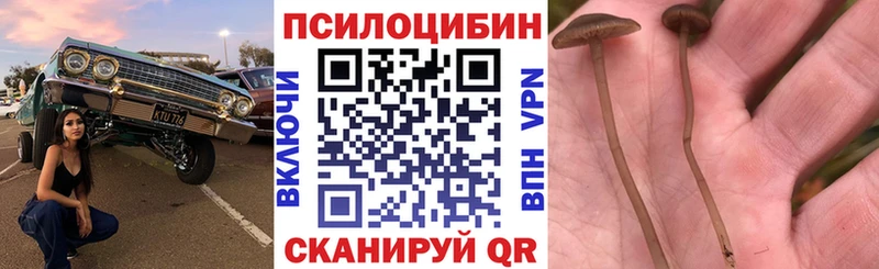 Галлюциногенные грибы мухоморы  дарнет шоп  Валуйки 